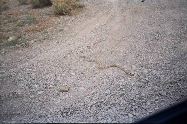 USA_1992-05-26 09-00-00_R06F09